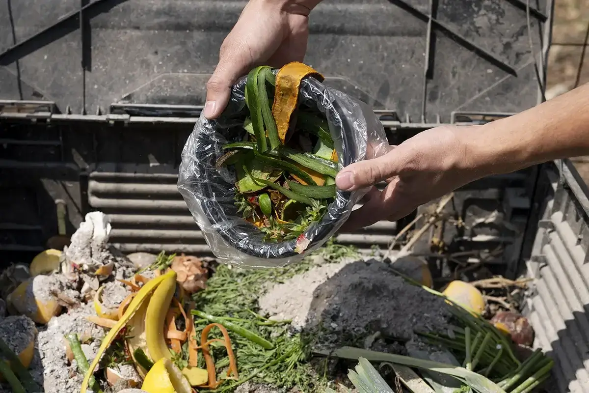 Waste and Disposal Services for Food Waste Solutions How to Save Money and the Planet Blog