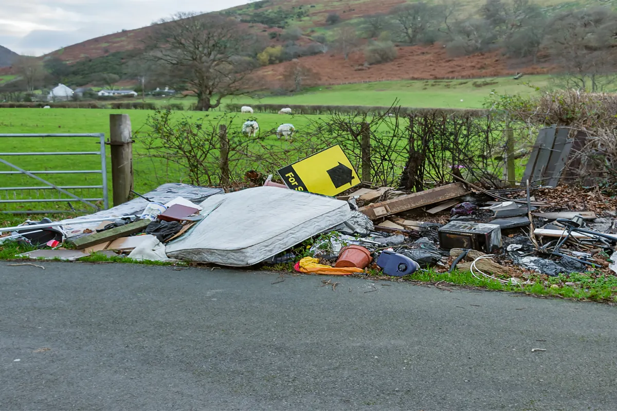 Blog The-Environmental-Impact-of-Improper-Waste-Disposal