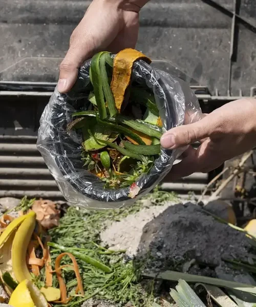 Waste and Disposal Services for Food Waste Solutions How to Save Money and the Planet Blog